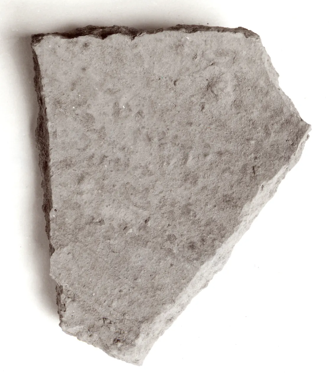 2S21