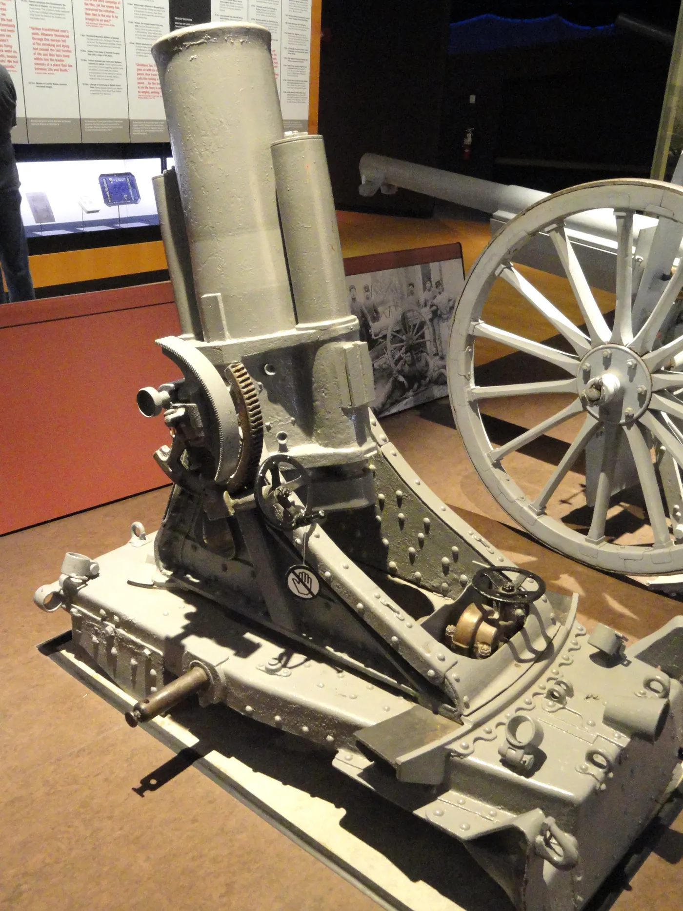 24.5 cm Havanı