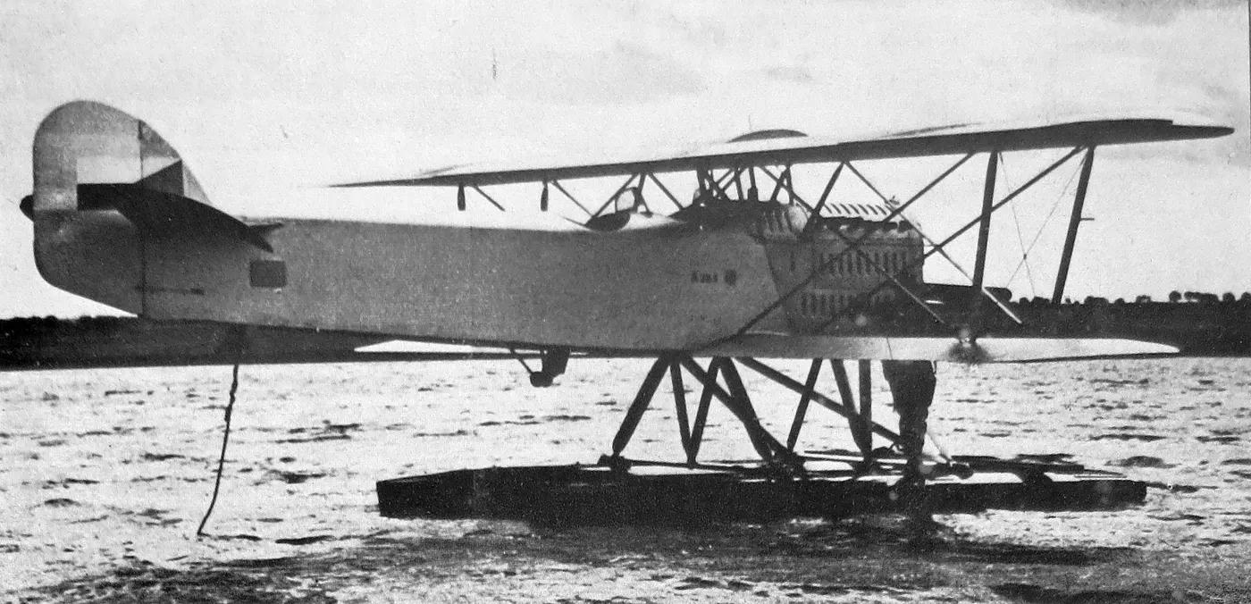A.29