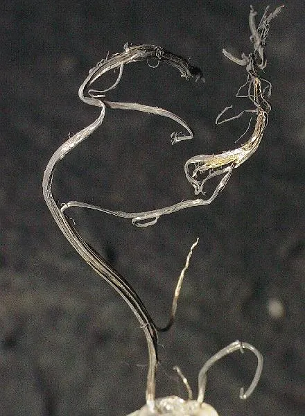 A.P. Mine E.P. No. 4
