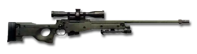 Accuracy International Arctic Warfare