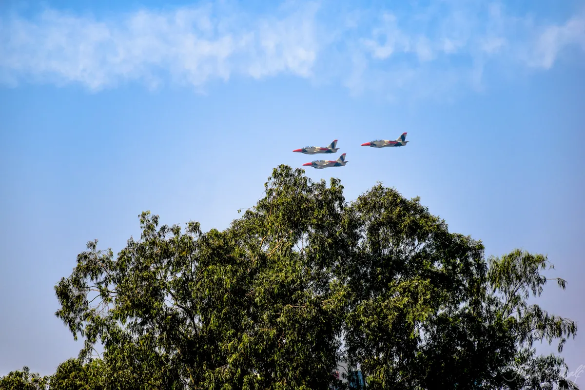 Aero L-39 Albatros jet trainer aircraft in flight