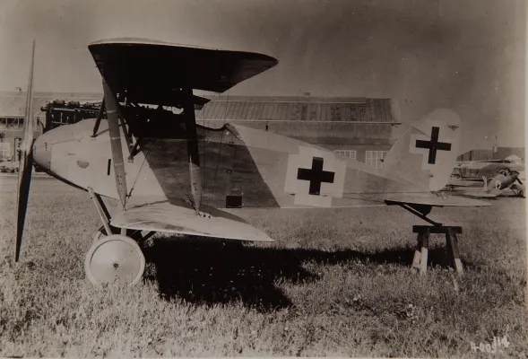 Albatros D.XII avcı