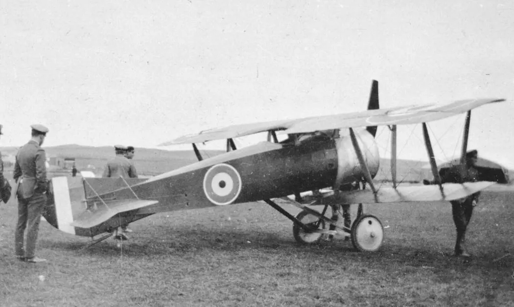 Alcock Scout