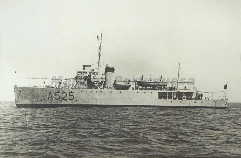Almirante Lacerda-class minesweeper