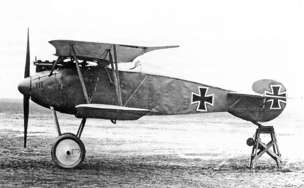 Aviatik (Berg) D.II