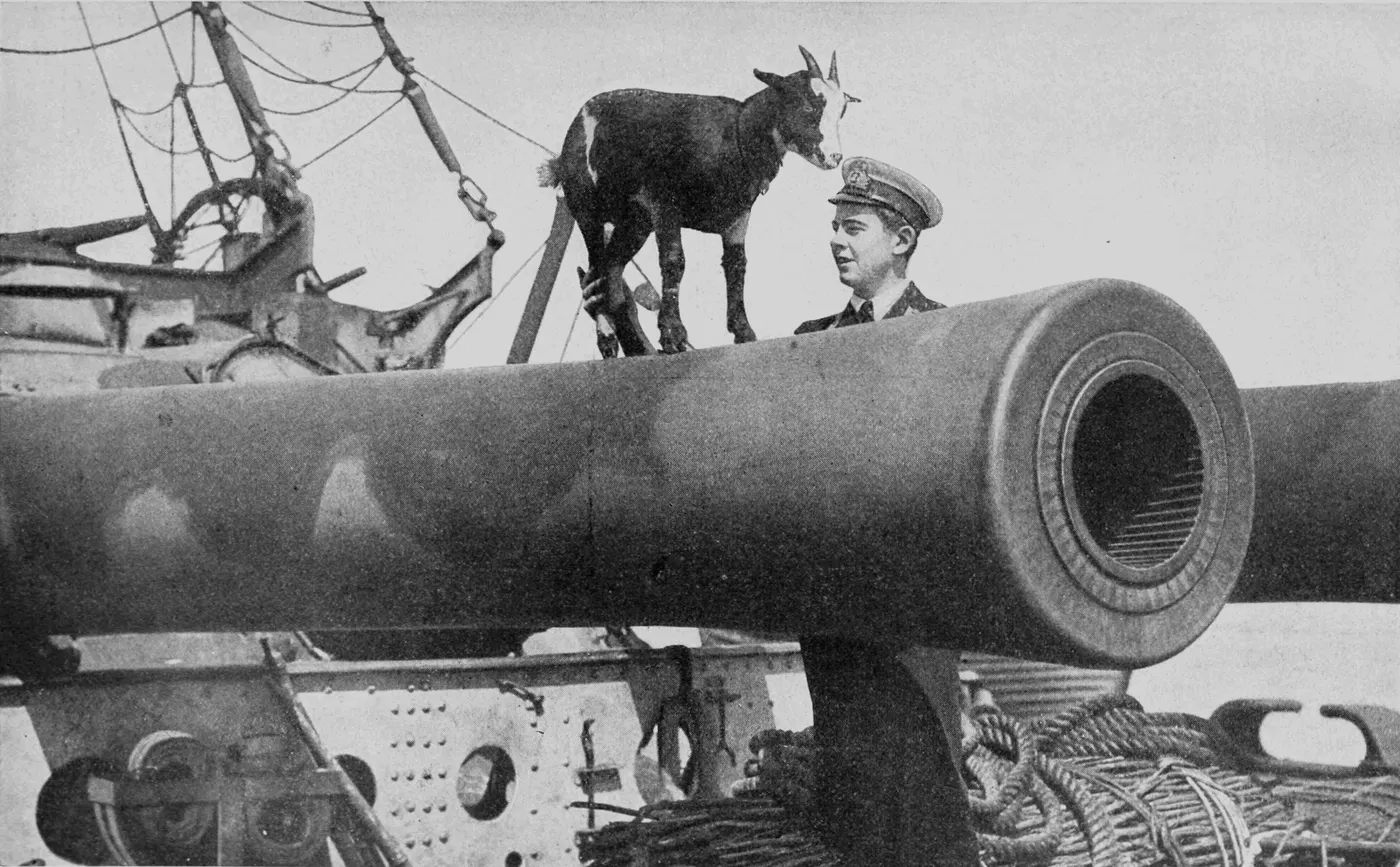 BL 12 inch Mk VIII gun