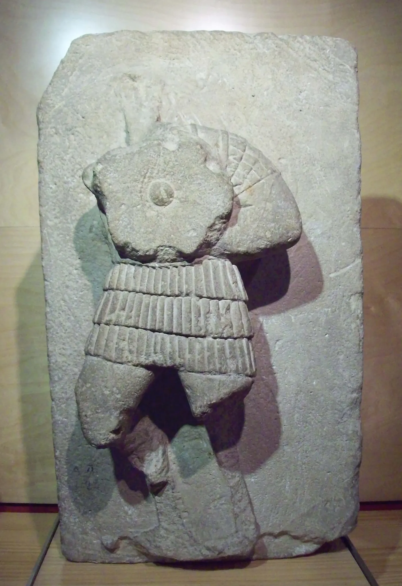 caetra