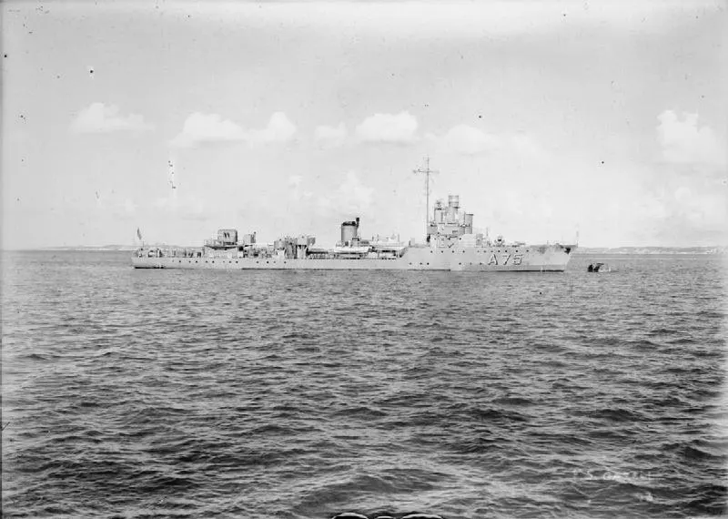 Chamois-class minesweeping sloop