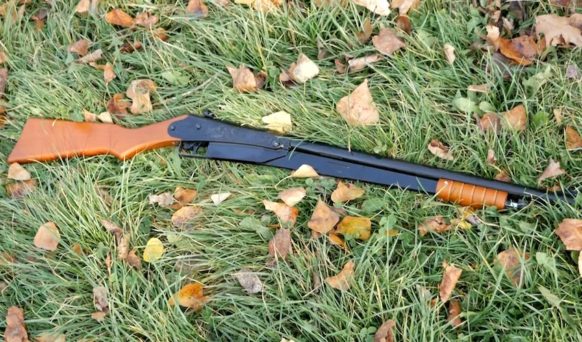 Daisy Model 25