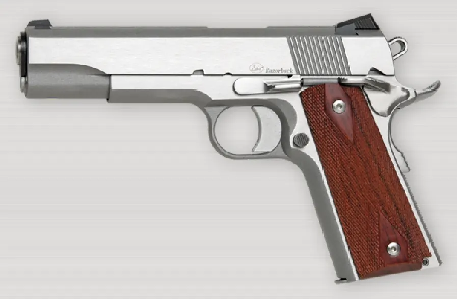 Dan Wesson M1911 ACP Tabanca