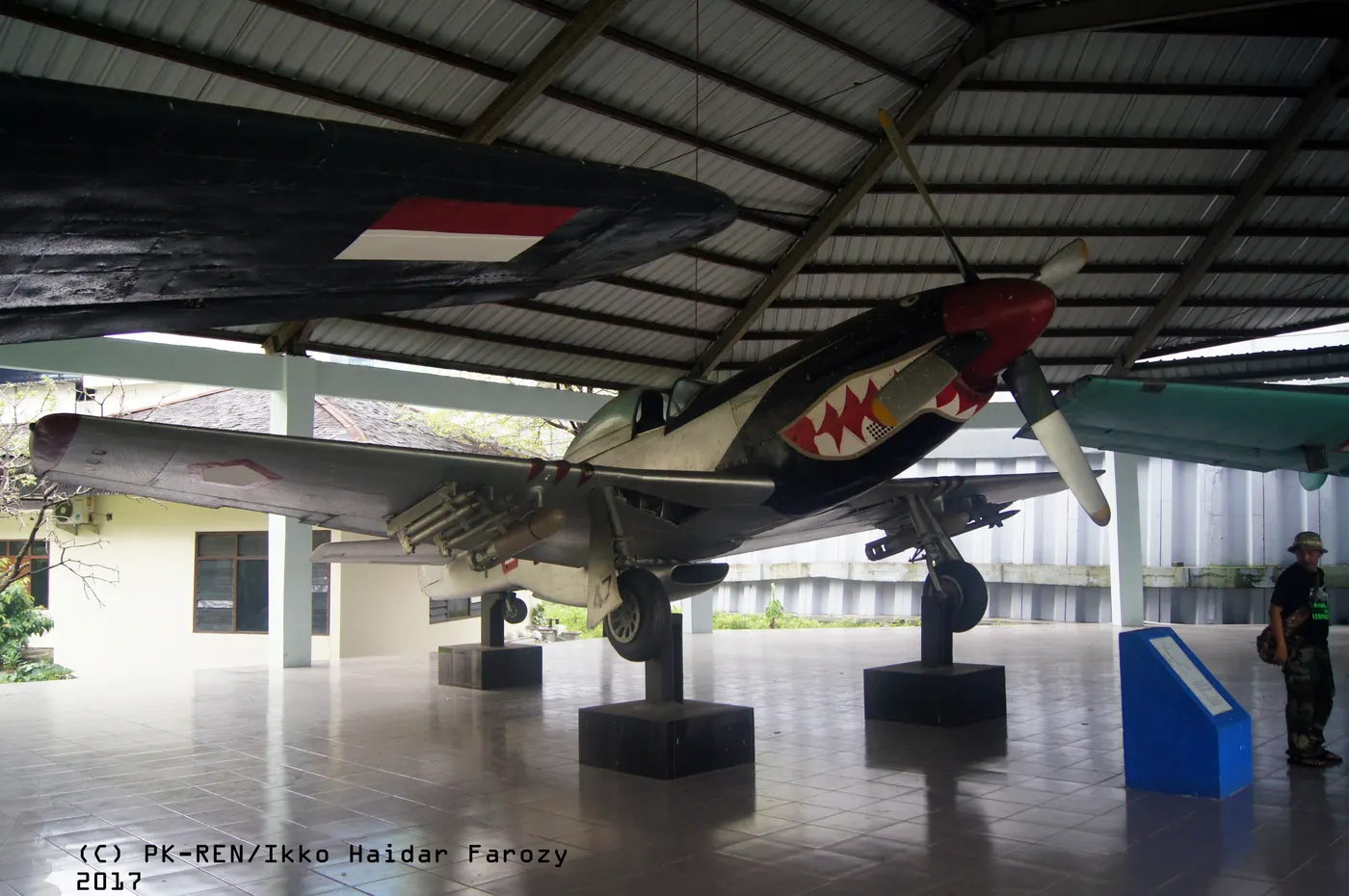F-51D Cavalier Mustang Amerikan avcısı