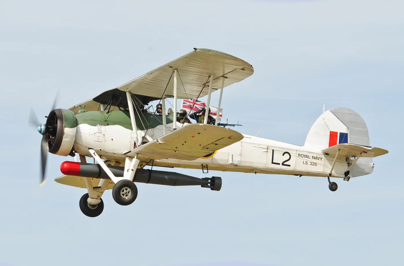 Swordfish