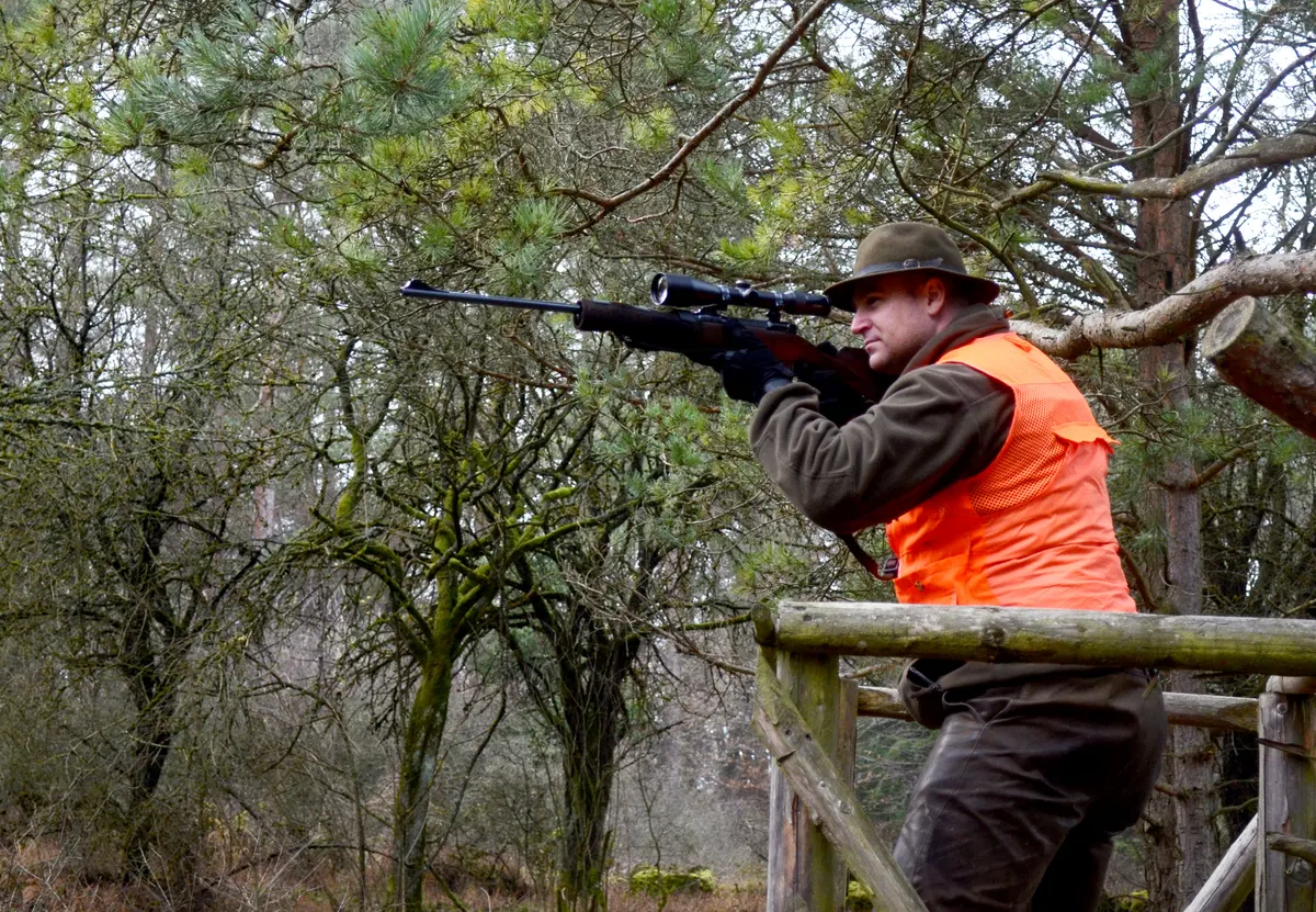 German hunters on a driven wild boar hunt