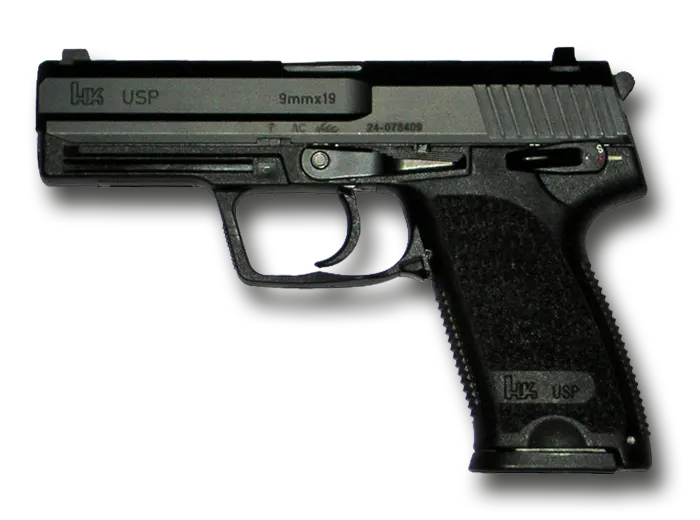 HK P10