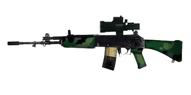 INSAS