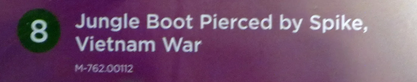 Jungle boot