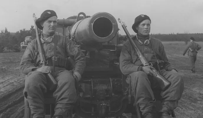 Polish Mauser-pattern bolt-action service rifle