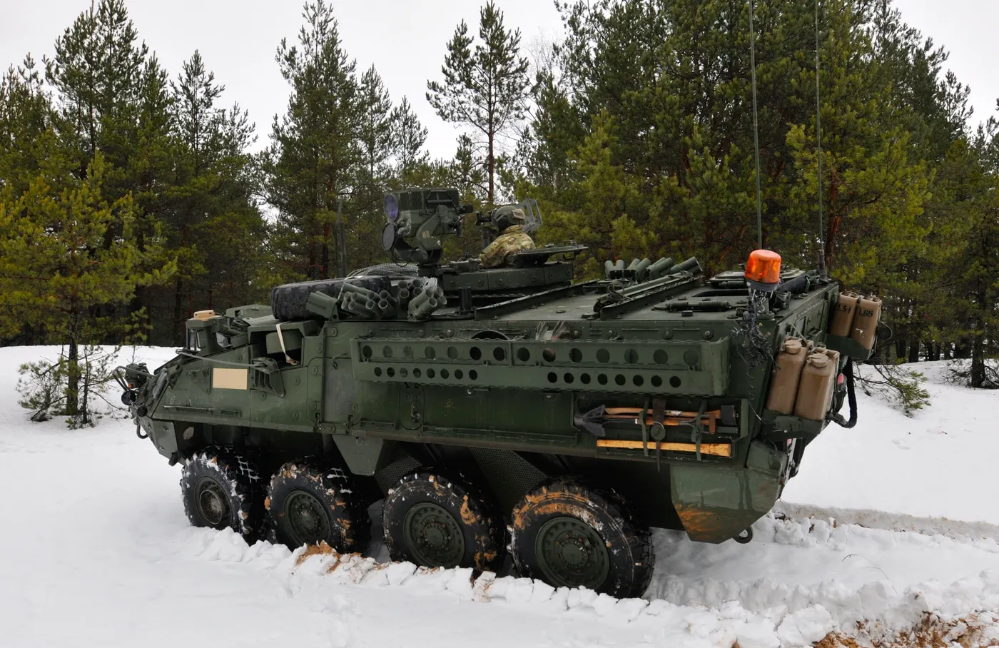 M1127 Keşif Aracı
