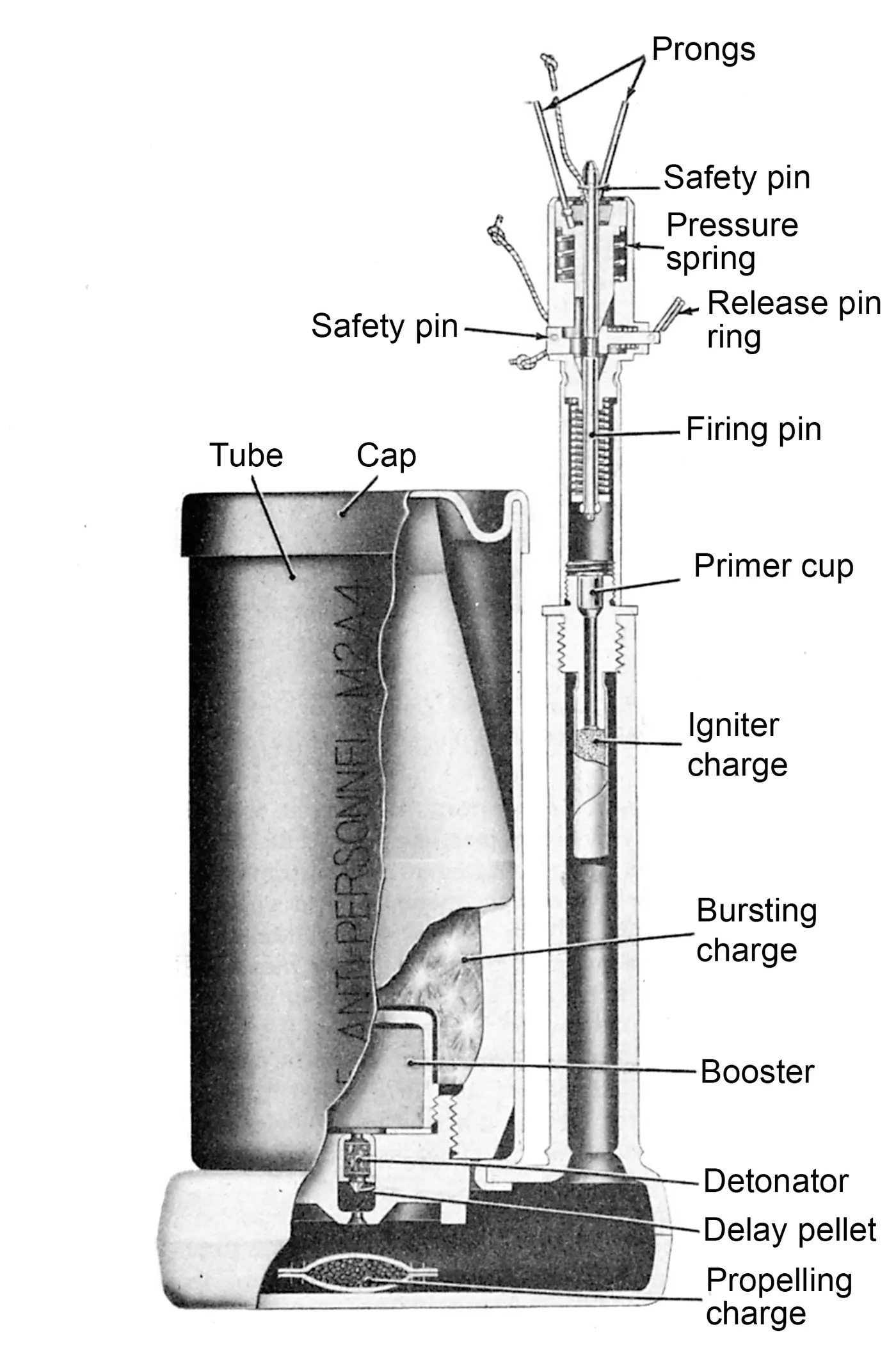 M2 mine