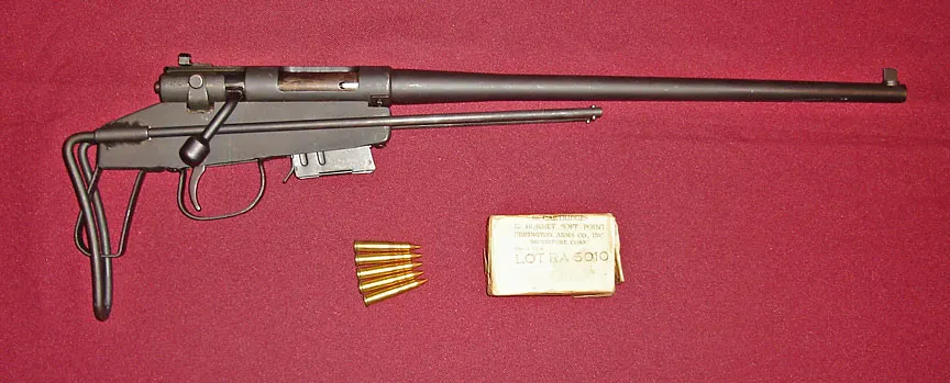 M4 Survival Rifle
