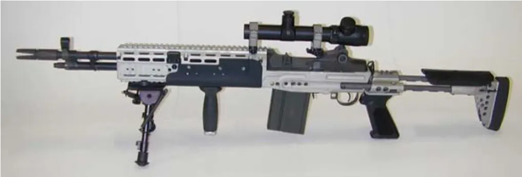 Mk 14 Enhanced Battle Rifle