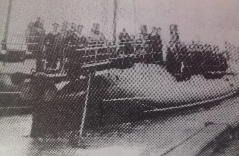 Năluca-class torpedo boat