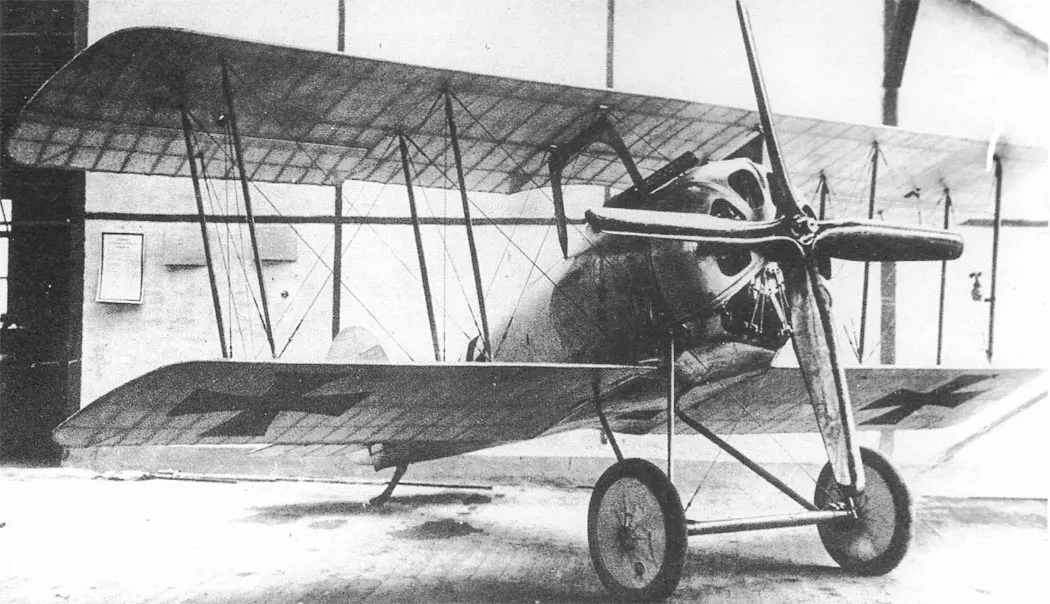 Pfalz D.VIII avcı