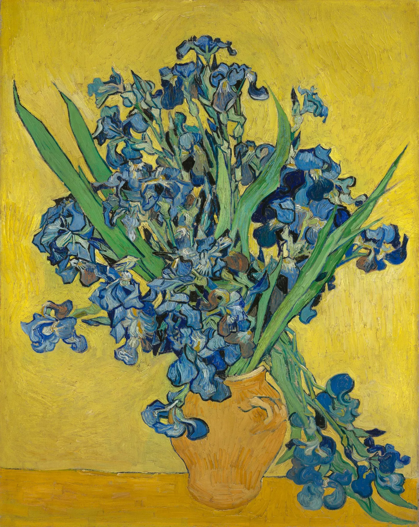 R.B.1 Iris deniz gözetim