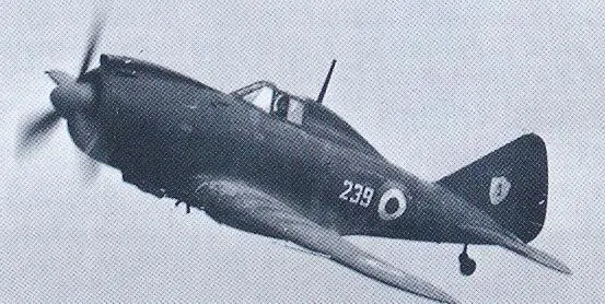 Re.2002 Ariete saldırı uçağı