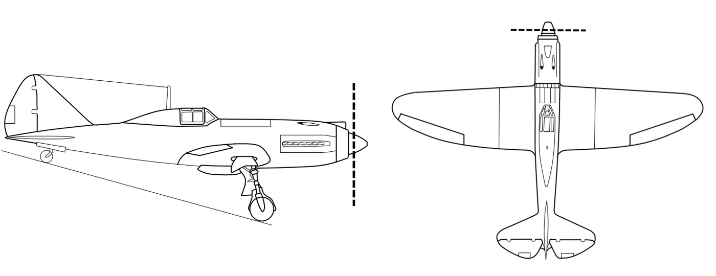 Re.2004 saldırı uçağı