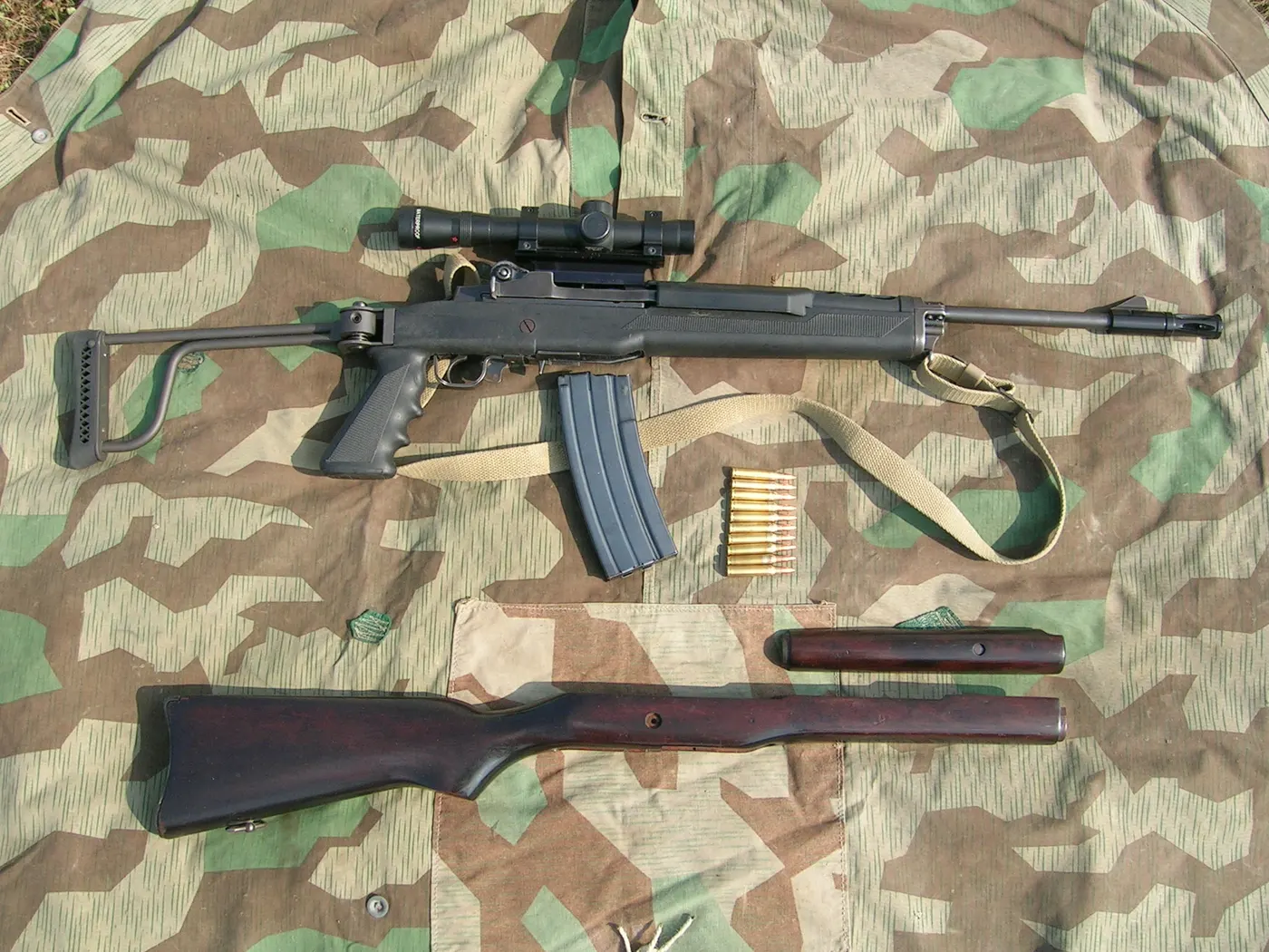 Ruger AC-556