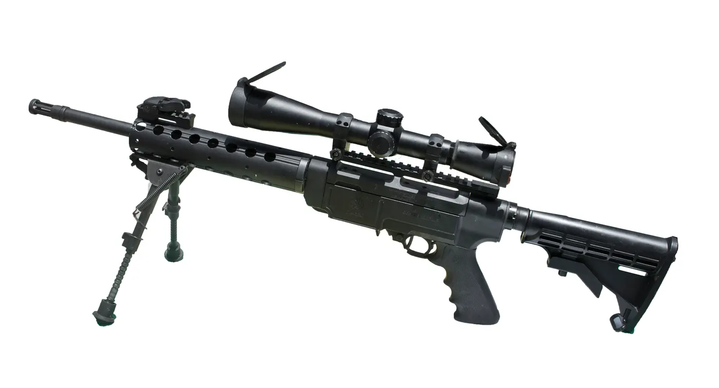 Ruger SR-22 karabinası