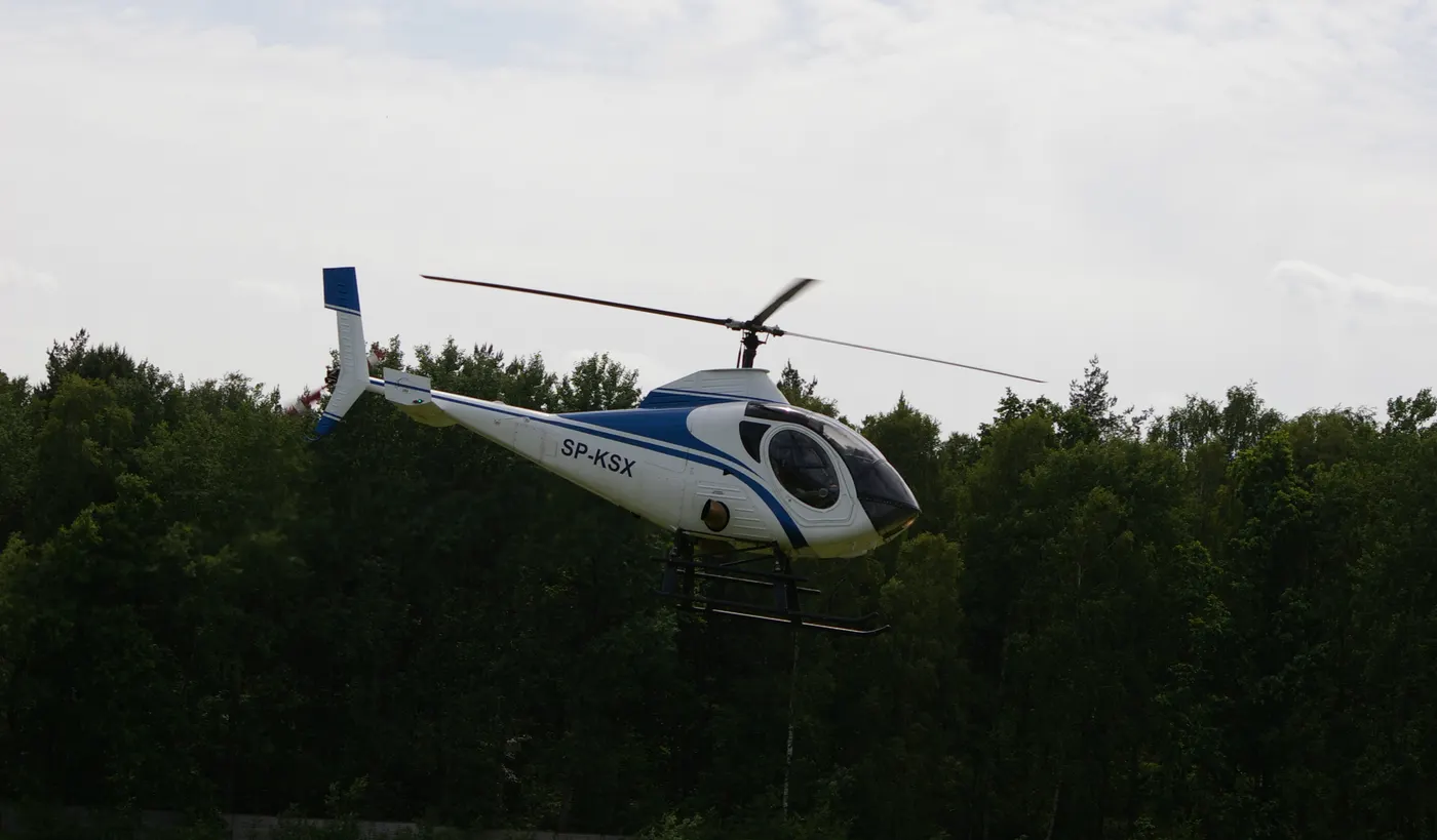 Schweizer S333