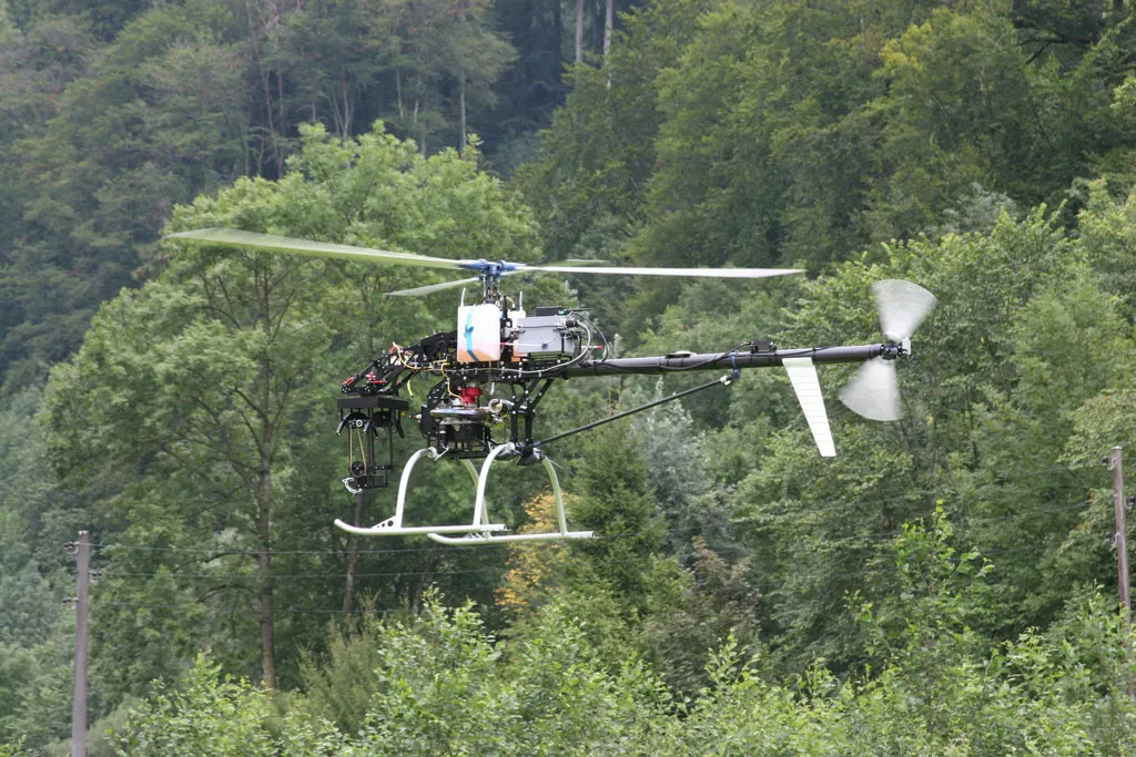 Scout B1