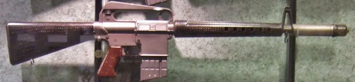Çıkarılabilir kutu şarjörü takılı ArmaLite AR-10 tüfeği