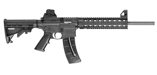 Smith & Wesson M&P 15-22