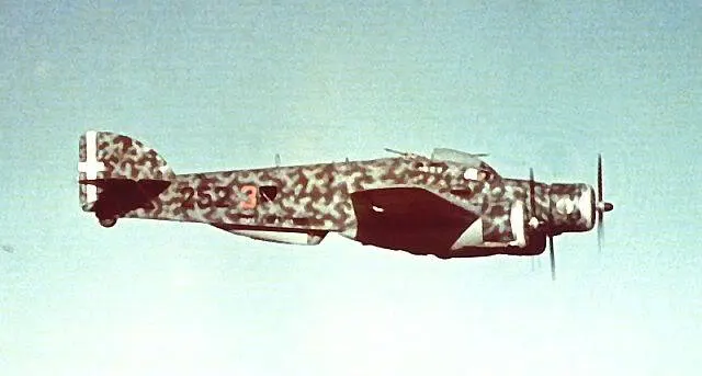 Sparviero