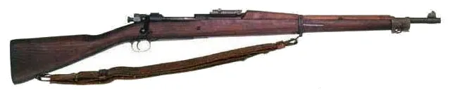 Springfield rifle