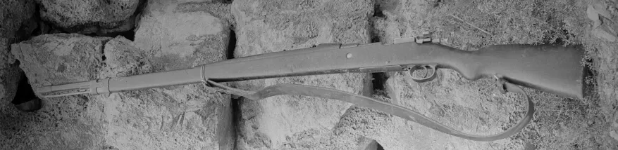 Steyr Model 1912 Mauser