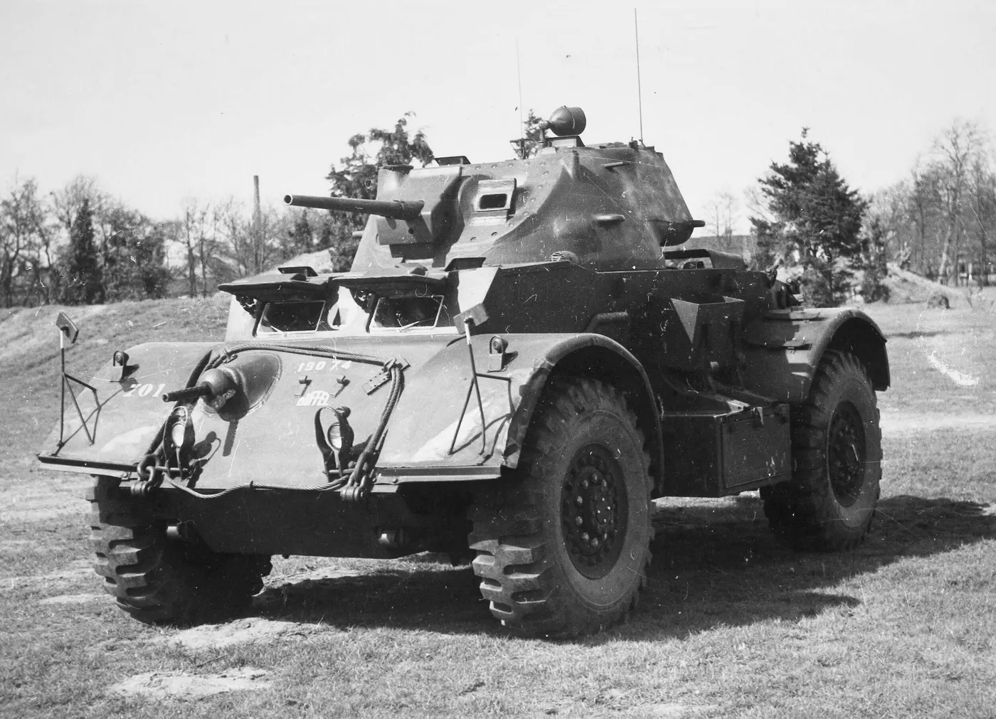 T17 Deerhound / Staghound