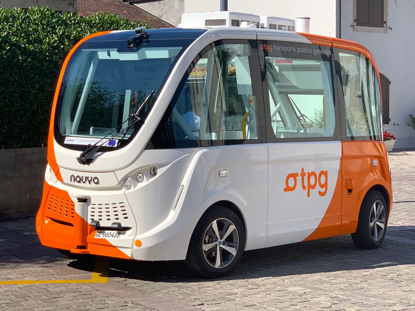 TPG-1