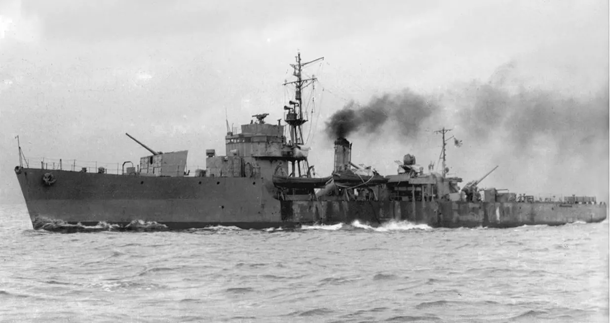 Type D escort ship