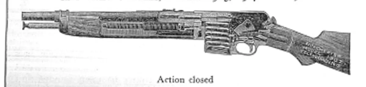 Winchester Model 1907 semi-automatic rifle