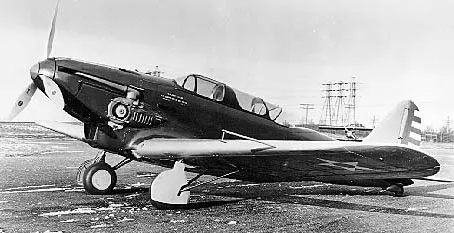 Y1P-25